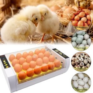 24-Egg Incubator with Automatic Digital Temperature Control - Reliable Egg Hatching Machine for Poultry Farming