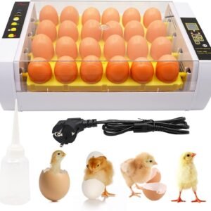 24-Egg Incubator with Automatic Digital Temperature Control - Reliable Egg Hatching Machine for Poultry Farming