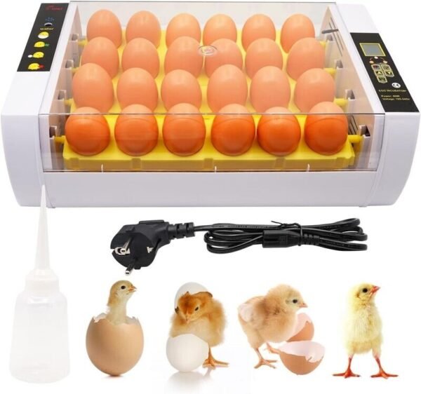 24-Egg Incubator with Automatic Digital Temperature Control - Reliable Egg Hatching Machine for Poultry Farming - Image 9