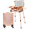 Professional Makeup Artist Train Case
