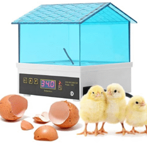 Mini Digital Egg Incubator/Hatcher Adjustable Temperature For Chicken Duck Bird Quail