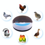 9 eggs + 4 bird eggsAutomatic Egg Incubator â€“ Farm Hatcher for Efficient Egg Hatching and Incubation