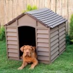 Large Heavy Duty Plastic Dog Kennel