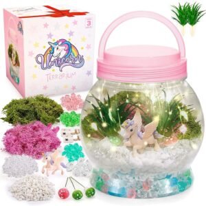 Fairy Craft Lanterns â€“ Creative DIY Toys for Childrenâ€™s Arts and Crafts Projects