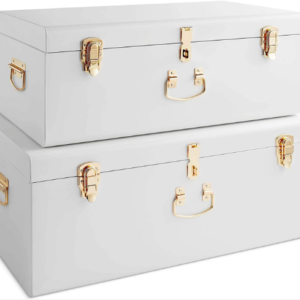 Set of 2 Large Stackable Storage Trunks