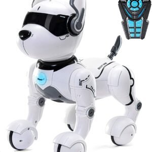 Remote Control Robot Dog Toy for Kids