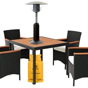 Tabletop Stainless Steel Patio Heater with Hose for Bottled Gas